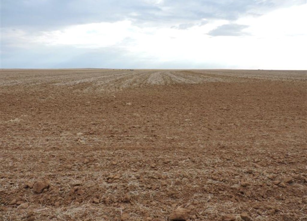 1,210 acres in Wilbarger/Wichita County