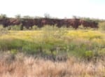 440 acres in Baylor/Knox County