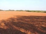 440 acres in Baylor/Knox County