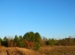 54 acres in Red River County