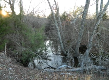 54 acres in Red River County