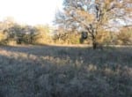 123 acres in Jack County