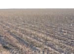 163 acres in Baylor County
