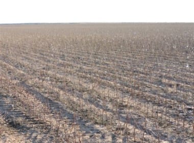 100 acres in Wilbarger County