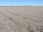 70 acres in Knox County