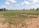 98 acres in Wilbarger County