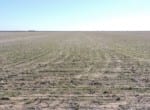 160 acres in Baylor County
