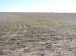 160 acres in Baylor County