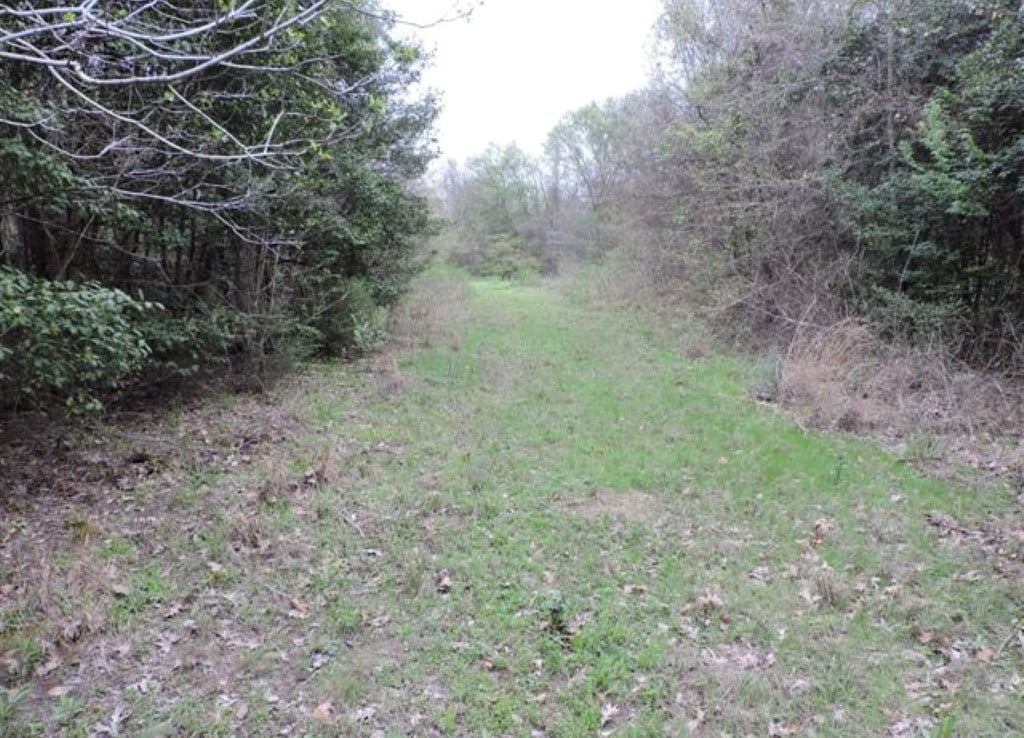76 acres in Wood County