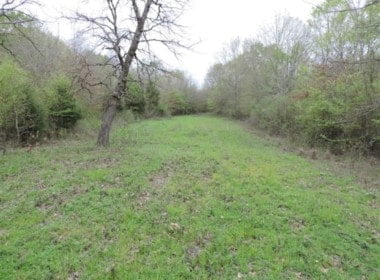 76 acres in Wood County