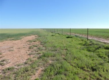 80 acres in Wilbarger County