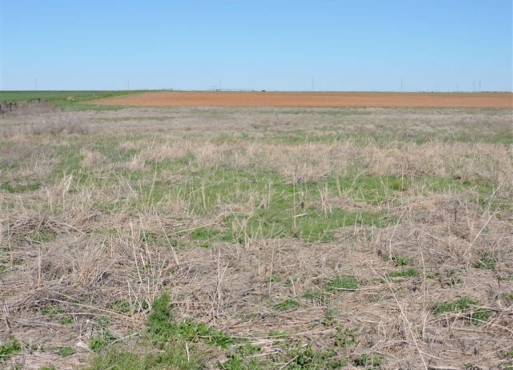 160 acres in Wilbarger County