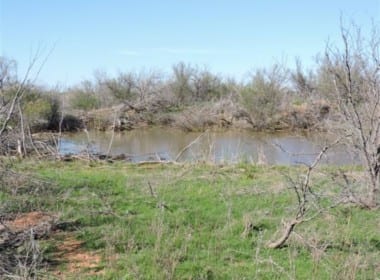 160 acres in Wilbarger County