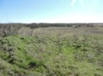 96 acres in Wilbarger County