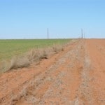 96 acres in Wilbarger County
