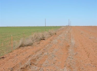 96 acres in Wilbarger County