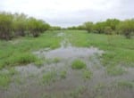120 acres in Wilbarger County