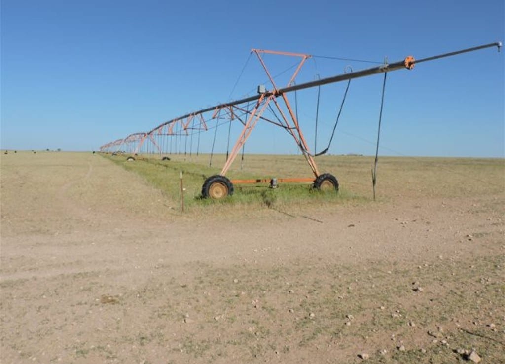 1,266 acres in Bailey County
