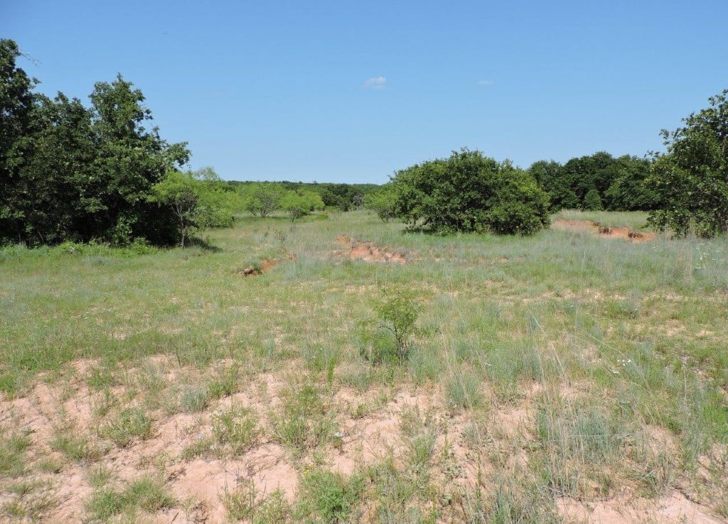 79 acres in Parker County