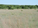 79 acres in Parker County