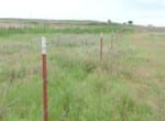 156 acres in Wichita County