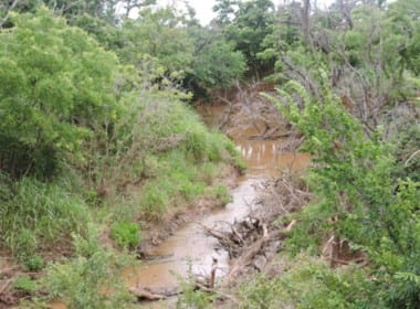 156 acres in Wichita County