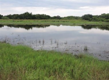 103 acres in Wichita County