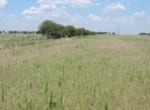 102 acres in Knox County