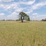 102 acres in Knox County