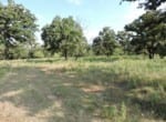 317 acres in Jack County