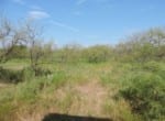 317 acres in Jack County