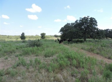 80 acres in Young County