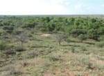 570 acres in Wilbarger County
