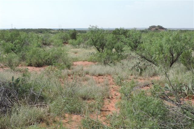 640 acres in Baylor County