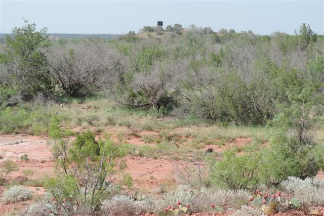 1,815 acres in Baylor County