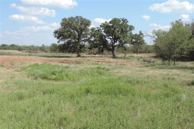 332 acres in Young County