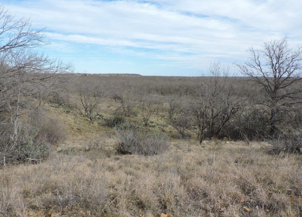 160 acres in Stephens County
