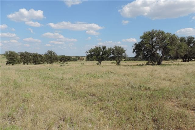 332 acres in Young County