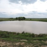 50 acres in Clay County