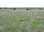50 acres in Clay County