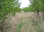460 acres in Wilbarger County