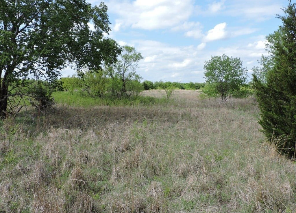 460 acres in Wilbarger County