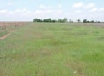 114 acres in Wichita County