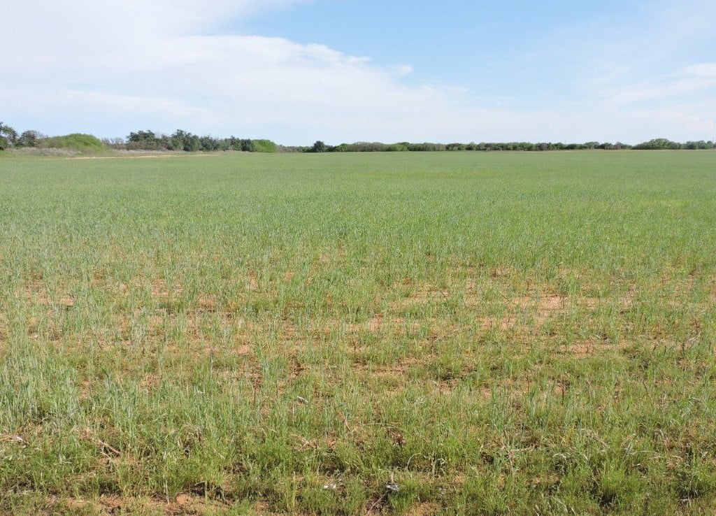 139 acres in Wilbarger County