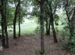 155 acres in Montague County