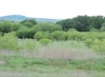 155 acres in Montague County