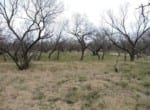 101 acres in Baylor County