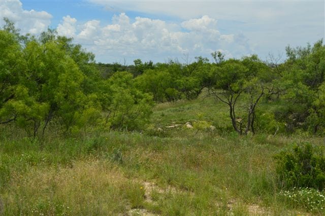 137 acres in Baylor County