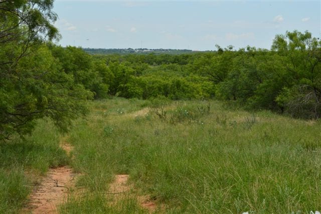 137 acres in Baylor County