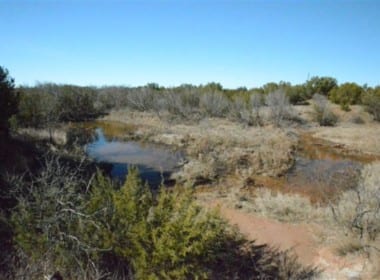 146 acres in Foard County